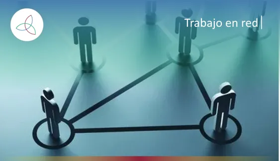 Beneficios del trabajo en red en las organizaciones